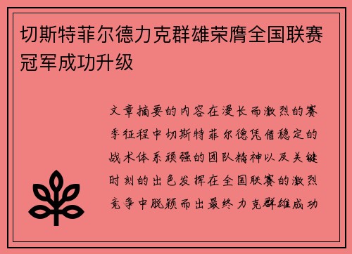 切斯特菲尔德力克群雄荣膺全国联赛冠军成功升级 切斯特菲尔德力克群雄荣膺全国联赛冠军成功升级